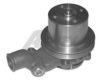 AIRTEX 1116-1 Water Pump